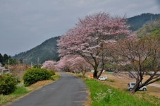 「산수화」おしゃれまとめの人気アイデア｜Pinterest｜연하(烟霞) | 風景, 綺麗な写真, 写真