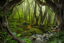 정글에 대한 이미지 검색결과 | 배경