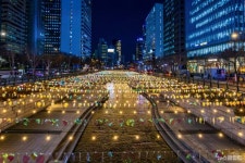연등이 비추는 산책길.. 부처님오신날 준비로 연등길을 볼 수 있는 서울 산책길