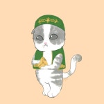 Tatar Kitty Pin on татар/tatar/타타르