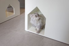 ANIMAL MEDICAL CLINIC 아프지말게 - SPACE LITA | 동물, 고양이