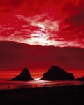 록키 해안의 붉은 하늘 붉은 바다 | Oregon coast, Sunset, Rocky