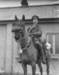 Cavalry trooper in marching order | 말, 동물