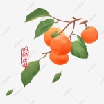 감 일러스트 요소 과일, 감, 과일, 크림 PNG 일러스트 및 PSD... Pngtree 감 일러스트 요소 과일, 감, 과일, 크림 PNG 일러스트 및... 