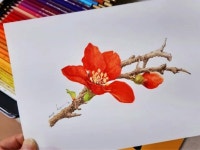 색연필 1 (colored pencil)에 있는 핀