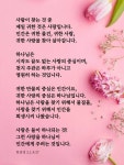 사람이 찾는 것 중 제일 귀한 것은 사랑입니다. #문선명총재 #한학자총재 #천성경