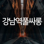 강남유흥업소에 있는 핀