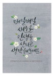 39번째 이미지 | 손글씨 문구, 손글씨, 멋진 명언
