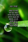 시인 김남열 / 아침 Kim Nam-yul, a Poet / Morning