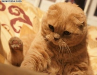 just….too….cute…!! | 밈