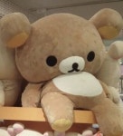 Joyce house에 있는 Jungkookisomg님의 핀 - 2021