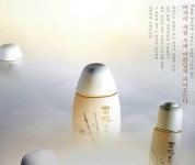 설화 사진, 1987년