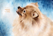 Pin page 영원한미소 미술학원 | Corgi, Animals, Dogs