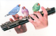 The Choir by Karen Hull | 색연필