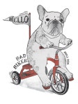Danilo De Donno on Behance | 동물, 애견, 팝아트