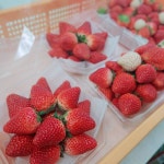 Food & Drink 4에 있는 Miêu Bảo님의 핀 - 2021