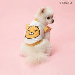 카카오프렌즈 댕댕이 맨투맨 | 애견, 강아지, 강아지 옷