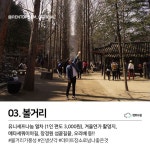 Travel- contents 남이섬편 4 | 마케팅