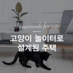 고양이와 함께 사는 주택,집 인테리어 고양이집꾸미기 / 인천디온인테리어 : 네이버 블로그 | 인테리어, 집, 고양이