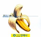 바나나 과일 기초디자인 바나나 과일 기초디자인 | 바나나, 제품 스케지, 현실적인 그림
