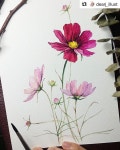 Pin page 사진 설명이 없습니다. | Watercolor flower art, Watercolor flowers paintings, Watercolor paintings