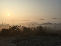 커피발전소iN교하, 아침안개, 풍경.   #요즘_계속_아침안개야 | 일상