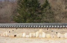 DSCN1949.JPG | 벽, 마당, 인테리어