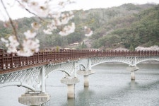 월영교(2013년) | 안동시