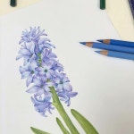 엘리 보태니컬아트 on Instagram: “월요일은 목동 현대백화점에서 <색연필 보태니컬아트> 문화센터 봄학기 수업을... 