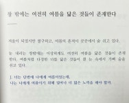 여름처럼 다정한 너를 닮은 것들이