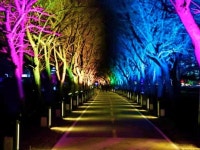 “이 풍경에 입장료가 없다니”… 유채로 덮인 5천㎡ 강변 산책길