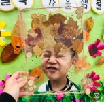 자연활동
