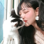 빵야님의 간택을 받다니,,, 저는 행복합니다🐱❣
