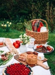 picnic의 최고 인기 이미지 79개 | 여름 소풍, 단순한 및 음료수 picnic