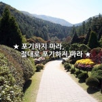 처칠의 유명한 일화 가운데, 옥스퍼드대학의 졸업식에서 단 두 마디의 말로 축사를 한 일화가 있다. “포기하지 마라, 절대로 포기하지 마라”... 