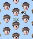 방탄에 있는 미희 주님의 핀