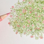 색연필 1 (colored pencil)에 있는 BongAe Song님의 핀 - 2021 | 색연필