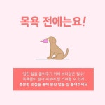 #강아지목욕 #개목욕 #반려견목욕 #강아지목욕방법 #반려견목욕시키기 #펫드라이룸 #강아지샴푸 #애견샴푸 #강아지샴푸방법 #강아지브러싱... 