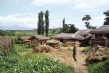 이방인이 본 옛 수원화성 : 화보 : 포토 : 한겨레 | 한국사, 역사, 자연스러운