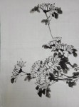 사군자 국화 | 국화꽃 그리기, 먹 그림, 민화