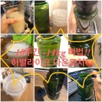 . 세상에서 제일 힘든 다이어트.. 제가 도와드릴게용 . 허벌라이프 다운코치 살도 빼 본 자가 안다! 상시상담가능 DM... 