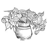 Pin page Pin by CWPARK on 어반스케치[petercwpark]