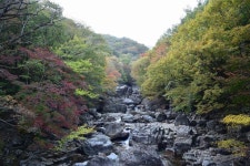[구례여행] 가을, 지리산 피아골로 떠나는 가을 단풍여행 | Outdoor, Water, River
