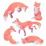 animals에 관한 60개의 최상의 Pinterest 이미지 animals