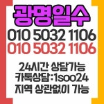 광명일수0①0-⑤0③2-①10⑥ - 2021 | 상담, 돈