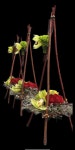 Pin page Épinglé par 최귀연 sur 꽃장식 en 2024 | Arrangements floraux, Arrangement, Fleurs