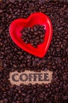 Coffee에 있는 성훈 정님의 핀 | 커피