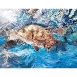 색연필 1 (colored pencil)에 있는 핀