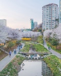 ☺️🥰 📍구파발천서길, 구파발천동길(#은평구 #진관동) - 진관동주민센터(진관2로 31) 인근 📸 by 은평사진홍보활동가 @la_reverie_rora ”2025.4.... 