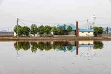 당진 우강 들녁 반영